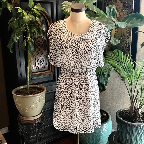 ASOS - Needle & Thread Francesca leopard chiffon - Picture 1 of 8